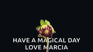 Flower Blooming GIF - Flower Blooming Have A Magical Day GIFs