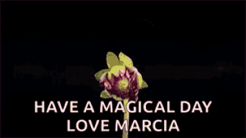 a picture of a pink flower with the words have a magical day love marcia