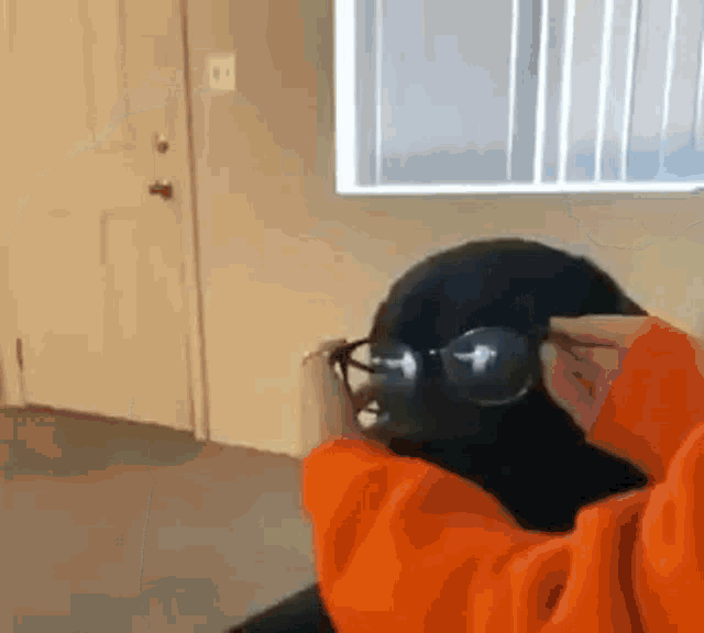 a person wearing sunglasses and an orange sweatshirt is sitting in front of a window .