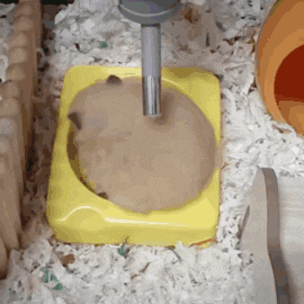 a hamster is sitting in a yellow bowl with shredded coconut around it