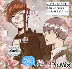 a picture of two anime characters with the words anti yaoi face it people sonic is not gay at the top