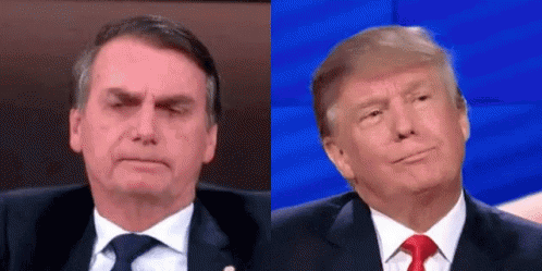 Bolsonaro Trump GIF - Bolsonaro Trump Bolso Trump GIFs