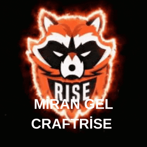 a picture of a raccoon with the words rise mira gel craftrise below it
