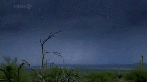 Nature Desert Lightning GIF - Nature Desert Lightning Lightning GIFs