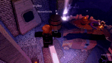 a screenshot of a video game with skyboy and memesforlife on the screen