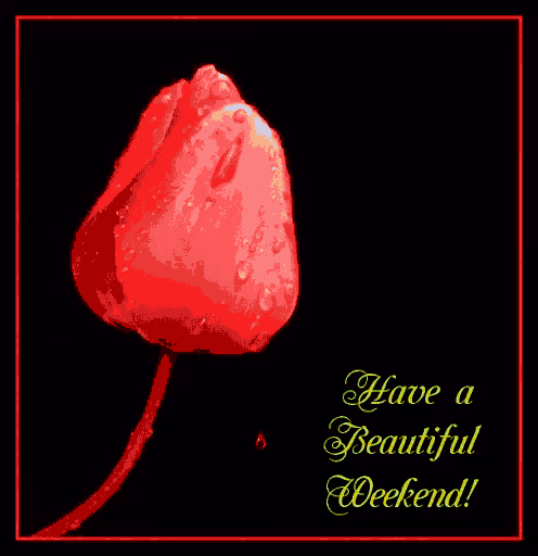 a picture of a yellow flower with the words have a beautiful weekend
