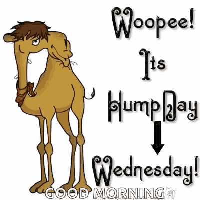 a cartoon camel with the words `` woopeel it 's hump day ! ''