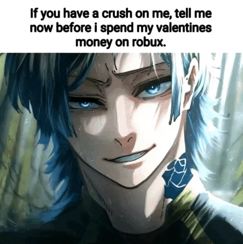 if you have a crush on me tell me now before i spend my valentine 's money on robux .