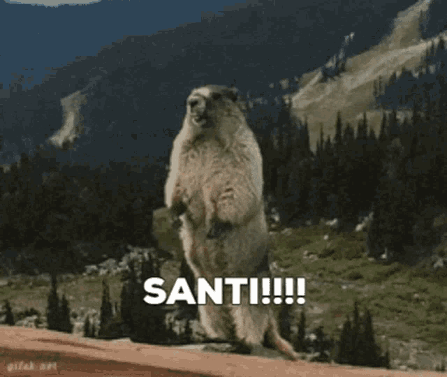 a ground squirrel standing on its hind legs with the word santi written on the bottom right