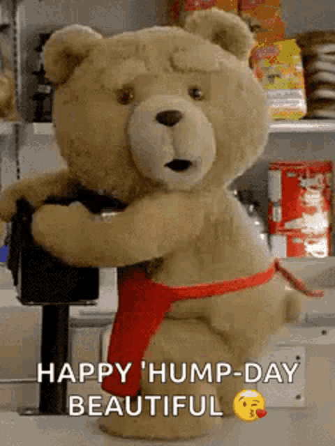 a teddy bear wearing a red apron and a red belt is standing in a fridge .
