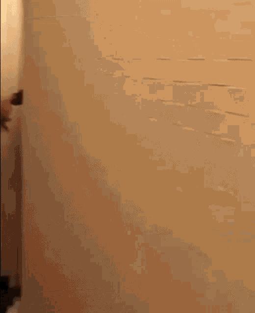 a person is standing in a room behind a wall and a door .