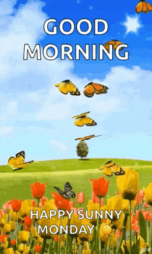 a good morning greeting card with butterflies flying over a field of tulips .