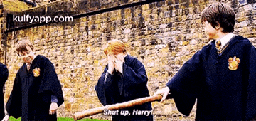 harry potter and his friends are standing in front of a brick wall and harry potter says shut up harry .