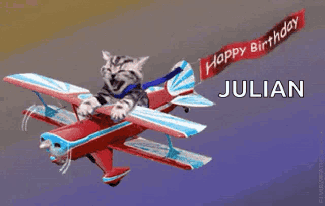 a cat is riding a plane with a happy birthday banner .