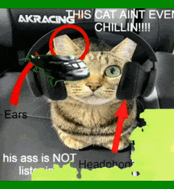 a picture of a cat wearing headphones that says akracing