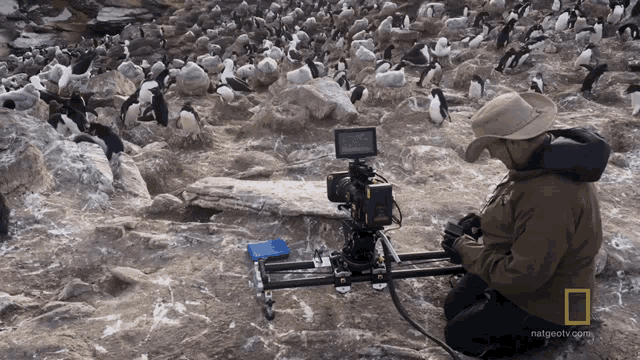 Preparing The Camera Ready To Film GIF - Preparing The Camera Ready To Film Hostile Planet GIFs