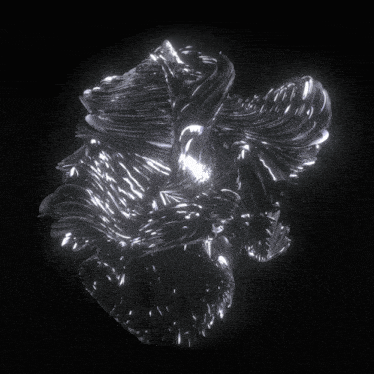 a black background with a silver object that looks like a flower