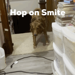 Hoponsmite Hop On Smite GIF