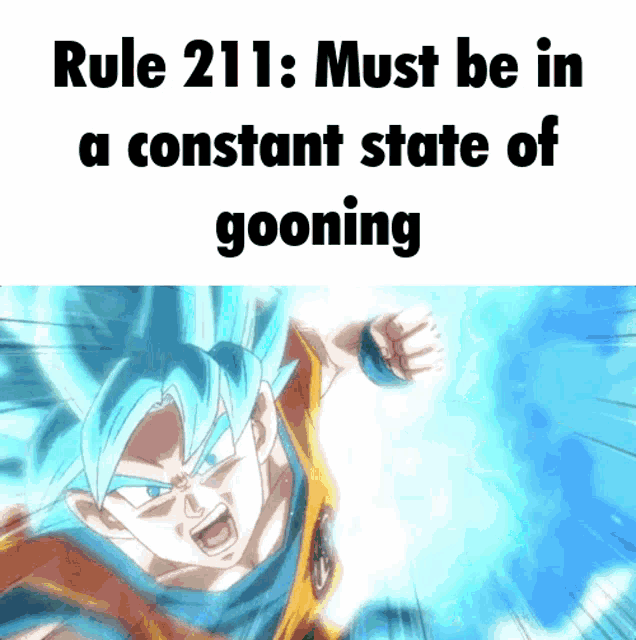 rule 211 must be in a constant state of gooning with a picture of goku