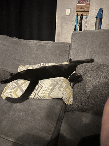 a black cat laying on a grey couch