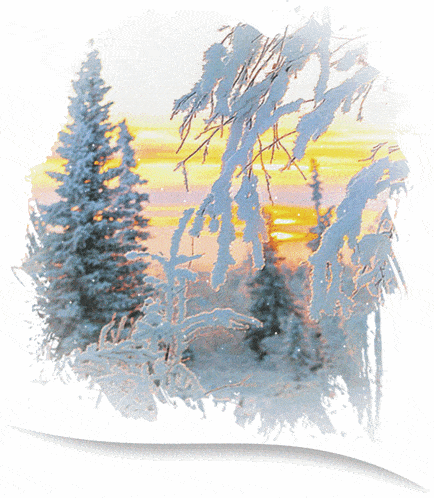 a painting of a snowy forest with trees covered in snow and a sunset in the background