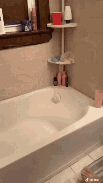 a bathroom with a tub and a shelf that says ' tiktok ' on it