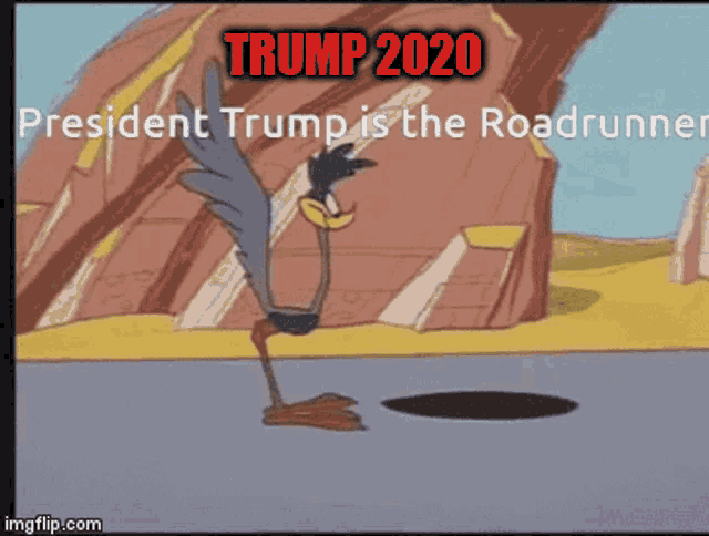 Trump2020 Road Runner GIF - Trump2020 Road Runner Coyote GIFs