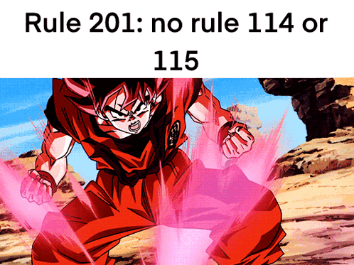 Rule 201 Dragon Ball Rule GIF - Rule 201 Dragon Ball Rule Krayze 233 GIFs