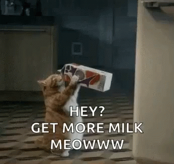 Cat Milk GIF - Cat Milk Delicious GIFs