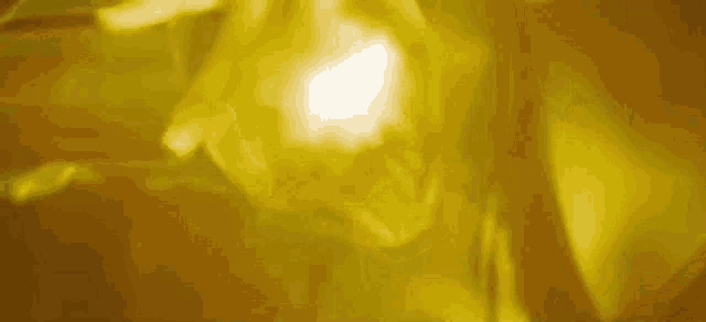 a close up of a person 's face with a yellow background .