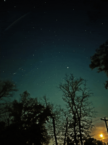 a starry night sky with trees in the foreground and the moon in the background