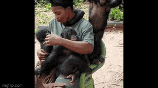 Bonobo Bonobo Babies GIF - Bonobo Bonobo Babies Cute GIFs