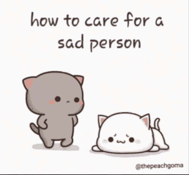 a cartoon of two cats laying on a couch with a caption that says place sad roll on a couch