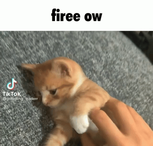 Firee Ow GIF - Firee Ow Gods Of Overwatch GIFs