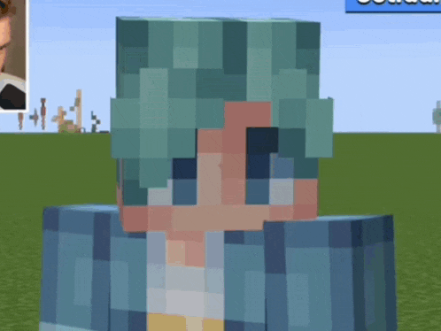 a close up of a minecraft character 's head