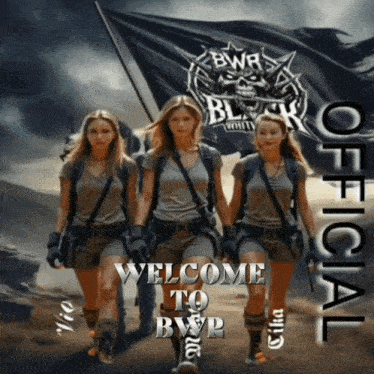 a poster that says welcome to bwr with three women