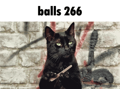 a black cat is holding a nail file in front of a brick wall with the words balls 266 below it