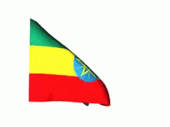 Ethiopia Flag Flags GIF - Ethiopia Flag Ethiopia Flag GIFs