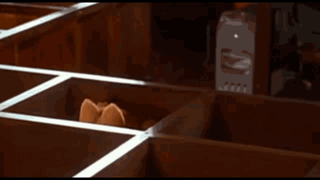 a cat is sitting in a wooden box and looking out