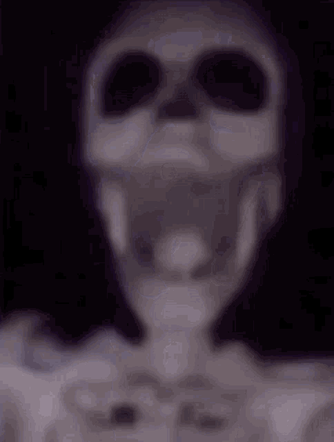 Skeleton Scared GIF - Skeleton Scared Afraid GIFs