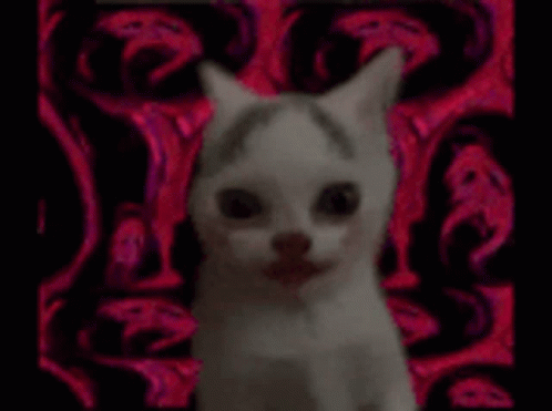 Giygas Cat GIF - Giygas Cat Melon Cat GIFs