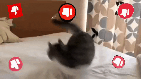 a cat is laying on a bed with a thumbs down and a thumbs up icon around it
