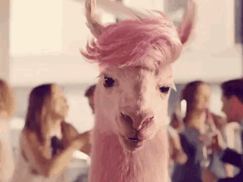 a llama with pink hair is standing in front of a group of people .