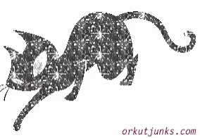 Cat Sparkle GIF - Cat Sparkle Kitty GIFs