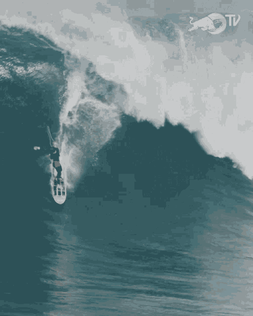 Surfing Red Bull GIF - Surfing Red Bull Big Waves Ahead GIFs