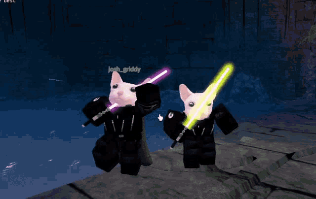 two cats holding lightsabers in a video game with the name josh_griddy on the screen