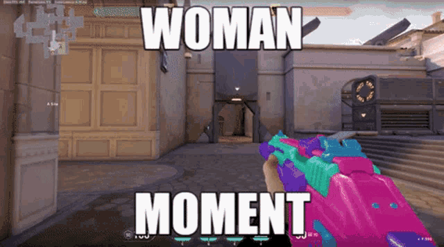 a screenshot of a video game with the words woman moment written on it