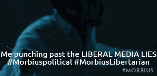 a poster that says ' me punching past the liberal media lies '