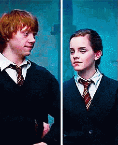 Ron Weasley Hermione GIF - Ron Weasley Hermione Harry Potter GIFs