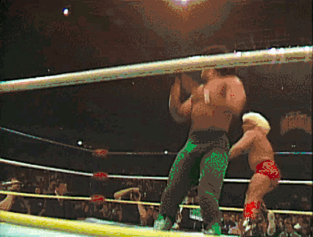 Fight Ring GIF